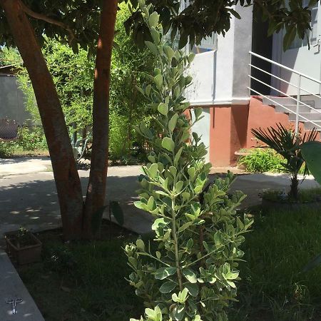 Хостел Green House Тбилиси Экстерьер фото