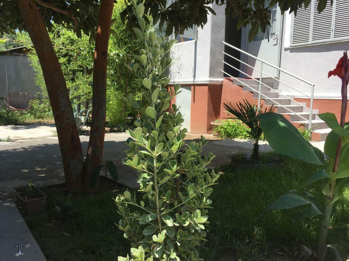 Хостел Green House Тбилиси Экстерьер фото